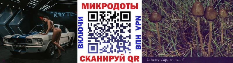 Псилоцибиновые грибы ЛСД  Монино 